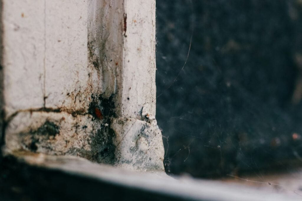 Weathered exterior window frame illustrating home maintenance and pest entry checks